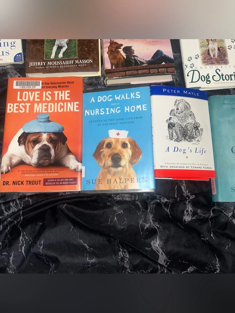 12 Assorted Dog lover Books Collection old lily and the octopus a man of his own